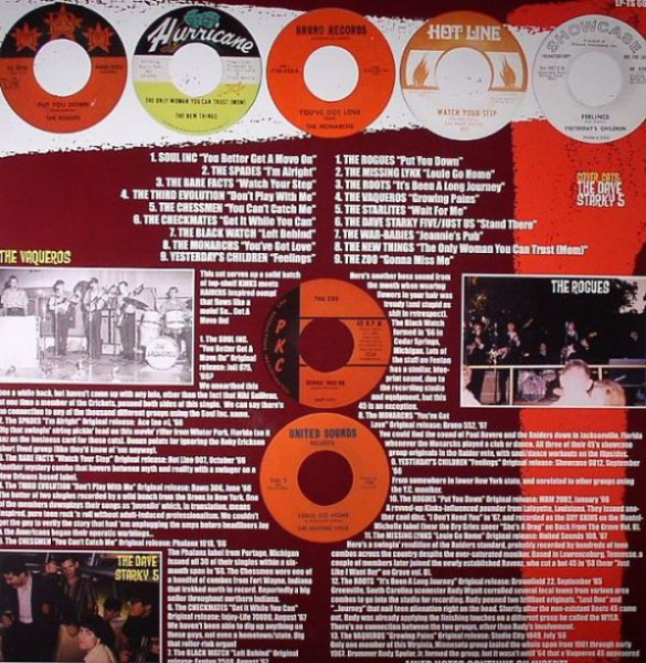 Teenage Shutdown - Get A Move On! LP