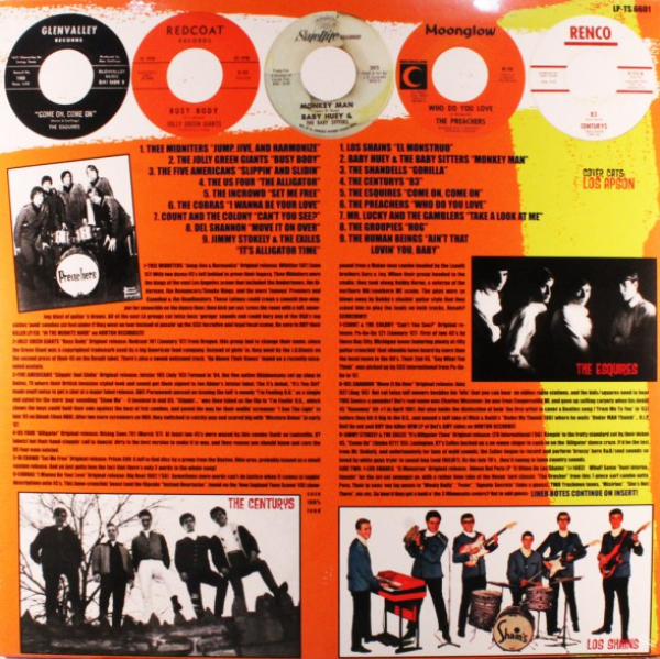 Teenage Shutdown - Jump, Jive & Harmonize! LP